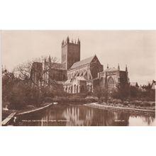 ED 478 WELLS CATHEDRAL. PRINTED POSTCARD
