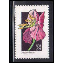 2649 29c Meadow Beauty Fine MNH V2264