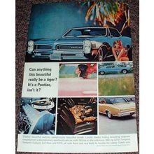 1966 Pontiac GTO Car Ad, Beautiful Really Be A Tiger!!