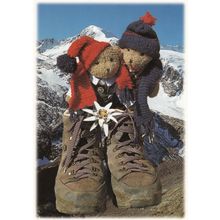 Austrian Teddy Bear In Giant Shoes Skiing Austria Postcard