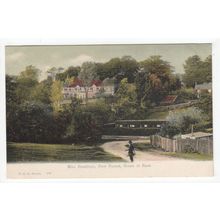 Miss Braddons Home at Bank New Forest Postcard Hampshire FGO Stuart 799