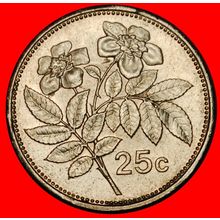 Ⰶ ROSE (1991-2007): MALTA ★ 25 CENTS 1995!★LOW START★NO RESERVE