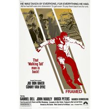 Framed (1975)_0 Movie Film Poster Canvas iconic design