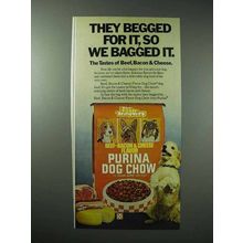 1977 Purina Dog Chow Dog Food Ad - They Begged