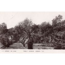 Public Gardens Oamaru New Zealand Real Photo Old Postcard