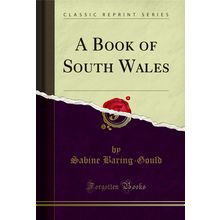 A Book of South Wales (Classic Reprint)