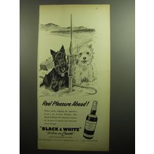 1958 Black & White Scotch Ad - art by Morgan Dennis - Reel pleasure ahead