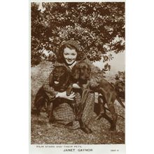 Janet Gaynor Film Stars & Their Pets Rare B&W Valentines Postcard