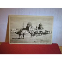 TOMBS OF CALIPHS, CAIRO, Egypt unused vintage postcard =