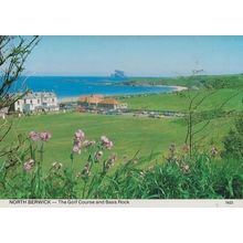 North Berwick Scottish Golf Course Rare 1980s Postcard