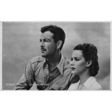 Robert Taylor Susan Peters Rare Kwatta Belgium Postcard Size Film Photo