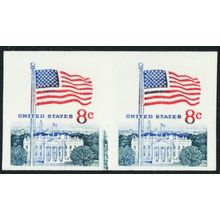 1338G, MNH 8¢ Imperforate Freak Error Pair - Stuart Katz