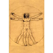 Proportions of the Human Figure, Leonardo da Vinci, 1485-1490 Poster Canvas Movi