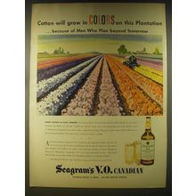 1946 Seagram's V.O. Canadian Whisky Ad - Cotton will grow in Colors on this