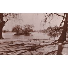Zoo Lake Johannesburg Old Real Photo South African Postcard