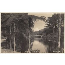 Pukakura Park New Zealand Old Real Photo Postcard