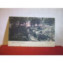 GRAVES, GREEN CWYM, SWANSEA, WALES. used antique postcard by G. W. 1905 pm =