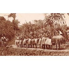 Native Dancing Boys & Spears Sierra Leone Africa Old Tucks Postcard
