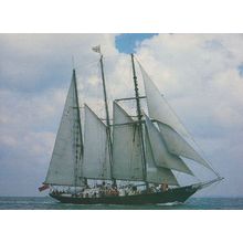 Malcolm Miller Scottish Boat Cutty Sark Tall Ships Race Souvenir Postcard