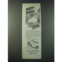 1947 United Fruit Company Great White Fleet Cruises Ad