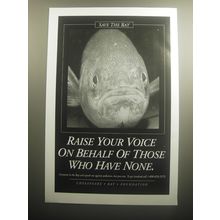 1993 Chesapeake Bay Foundation Advertisement - Save the Bay Raise your Voice