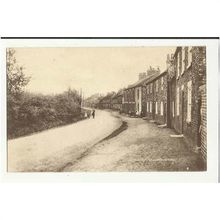 Yorkshire DUNNINGTON York Street Postcard by Fountain