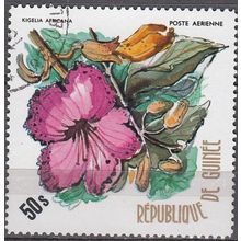 Guinée 1974 Michel 699 O Cote (2001) 3.00 Euro Fleur de l'arbre à saucisses