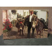 DONKEYS, CLOVELLY, DEVON unused postcard by J. Salmon. =