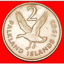 Ⰶ GREAT BRITAIN (1974-1992): FALKLAND★2 PENCE 1982 MAGELLAN★LOW START★NO RESERVE
