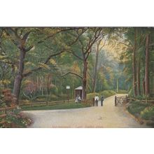 Scarborough Lady Ediths Drive Antique Postcard