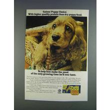 1980 Gaines Puppy Choice Dog Food Ad - Quality