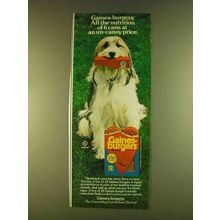 1980 Gaines-Burgers Dog Food Ad - All the Nutrition