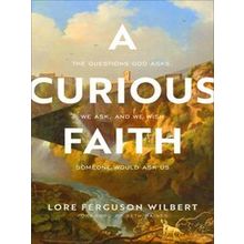 A Curious Faith The Questions God Asks, We Ask, And We Wish Someone Would Ask Us