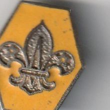 Scout Metal Pin Badge - Female Leader 1967/2000 - Used (BY154)
