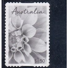 Australia 2024 - Special Occasions, Dahlia - - $1.50 s/a used*