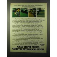 1971 Du Pont Antron Nylon Carpet Ad - Does it Best