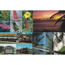 Fijian Sunbathing Birds Flowers Trains Sunset 4x Postcard s