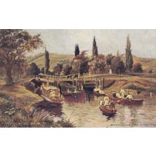 Pearks Butter Antique Rowing Boats Advertising Postcard