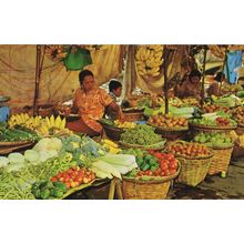 Bankok Boat Women Vendors Of Fruits In The Klong Thailand Postcard