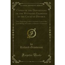 Copies of the Depositions of the Witnesses Examined in the Cause of Divorce