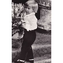 Prince Willem William Of Holland In Garden 1970 Postcard