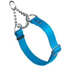 Dog Pet Martingale Collar W 1" x L 14"-20" Sky Blue