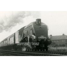 19 A4 'BITTERN' with THE SCARBOROUGH FLYER (2)