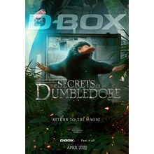 Fantastic Beasts_ The Secrets of Dumbledore (2022)_29 Movie Film Poster Canvas i