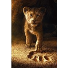 The Lion King (2019) 5 Poster Canvas Movie Film Print A0 A1 A2 A3 A4 A5 A6 Art W
