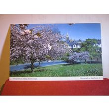 WEAPONNESS VALLEY, SCABOROUGH, YORKSHIRE by Max Payne large unused postcard #