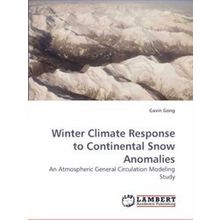 Winter Climate Response to Continental Snow Anomalies