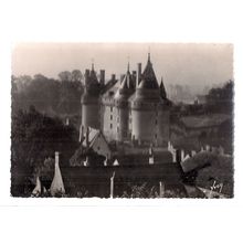 CHATEAU, LANGEAIS , Indre-et-Loire, France unused vintage postcard