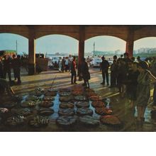 Cataluna Preparando Subasta de Pescado Costa Brava Spain Postcard