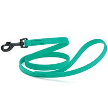 Dog Pet Waterproof Leash - W3/4" x L4' - Teal